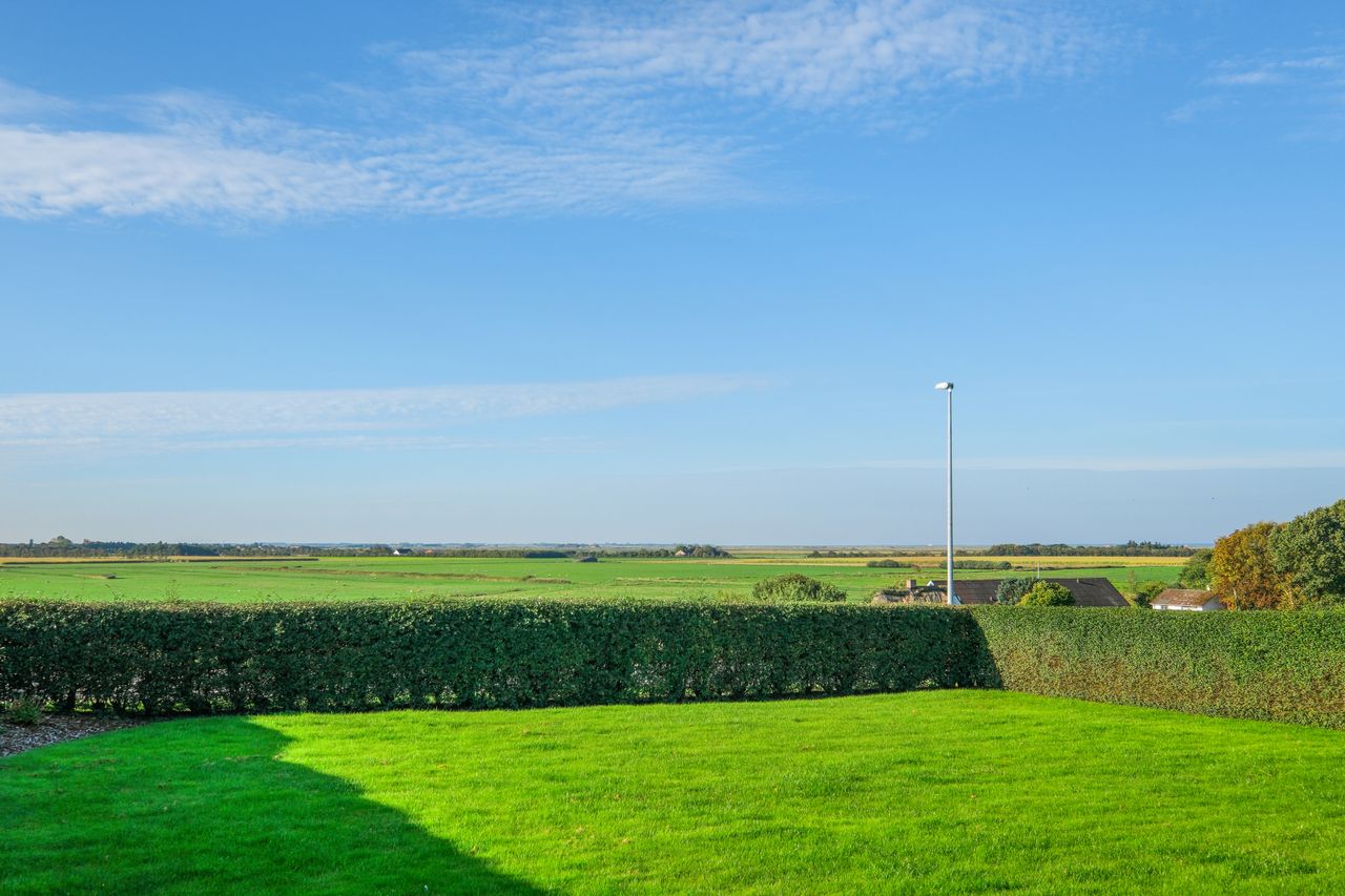 image 03